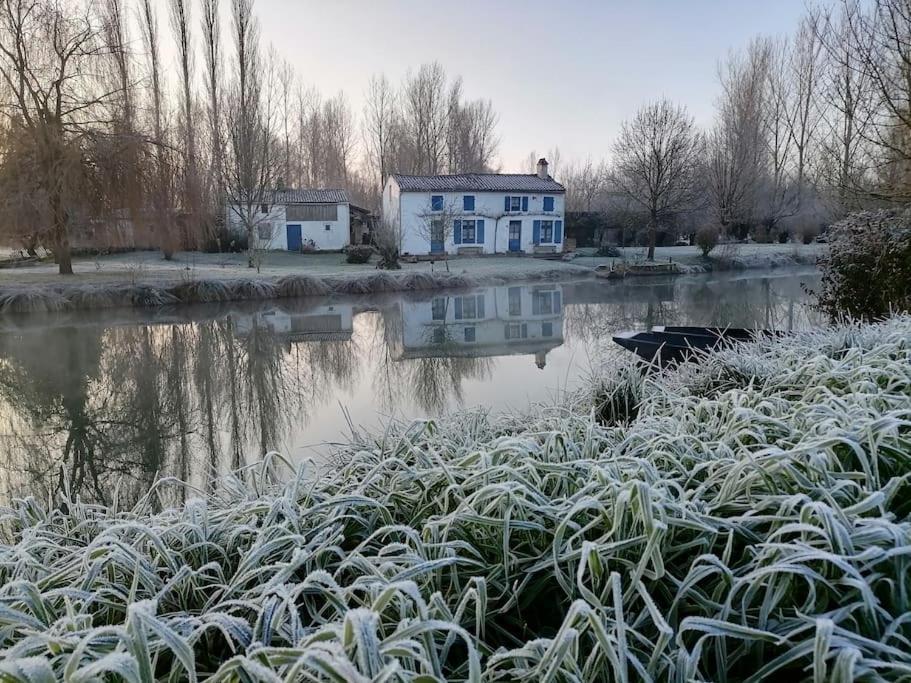 Le Logis Du Heron Coulon Bagian luar foto