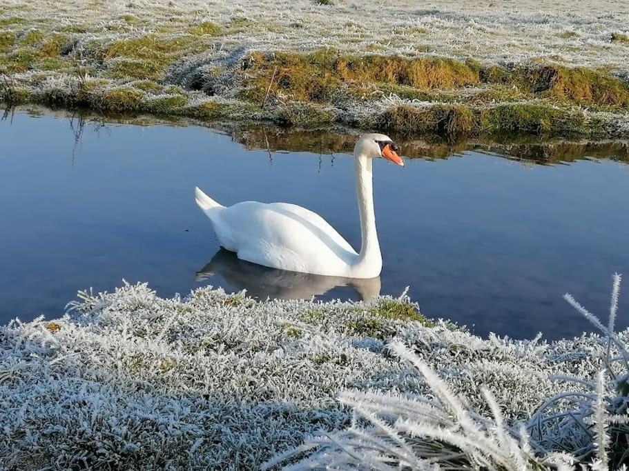 Le Logis Du Heron Coulon Bagian luar foto